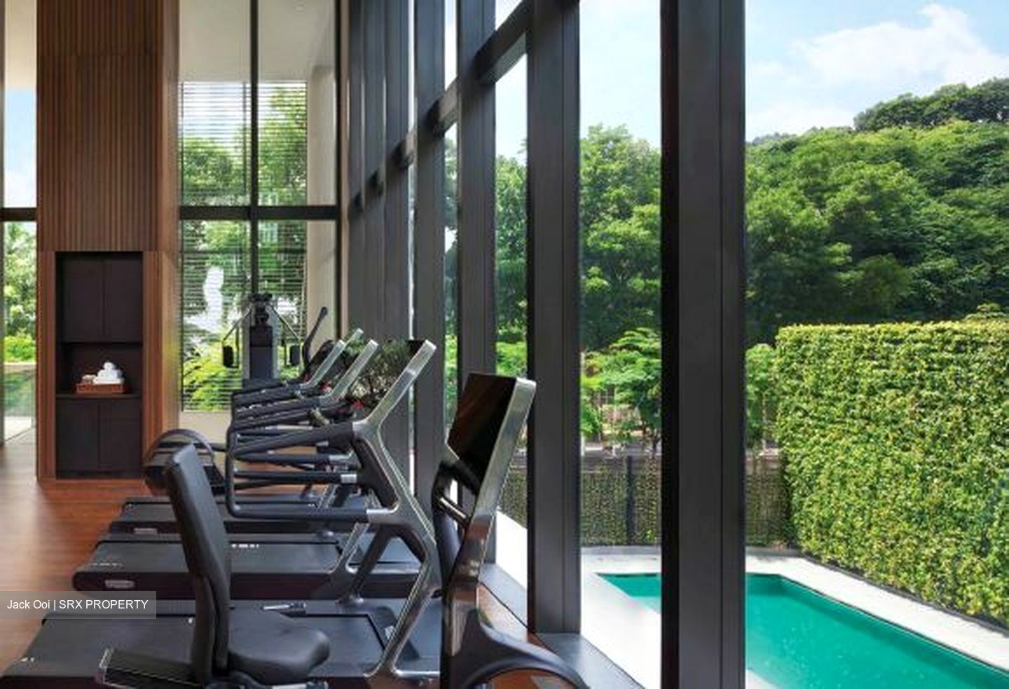 Hana (D10), Condominium #376918581
